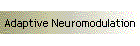 Adaptive Neuromodulation