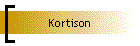 Kortison